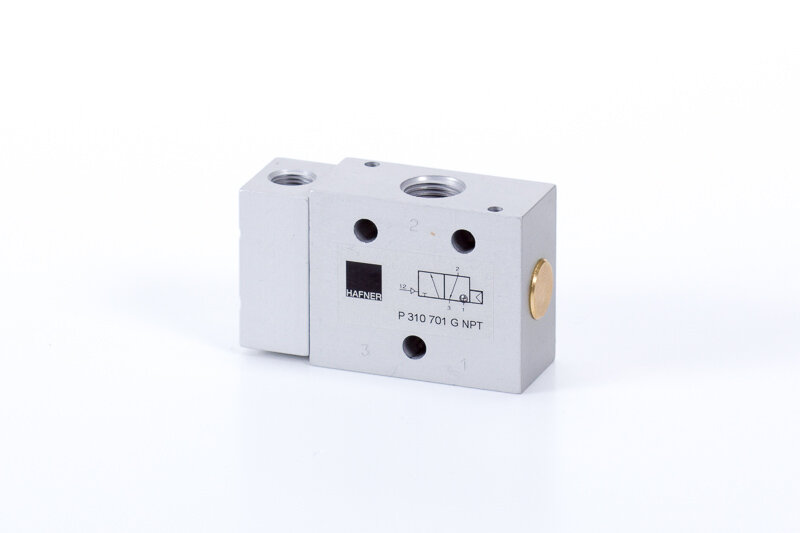 P 310 701 G NPT