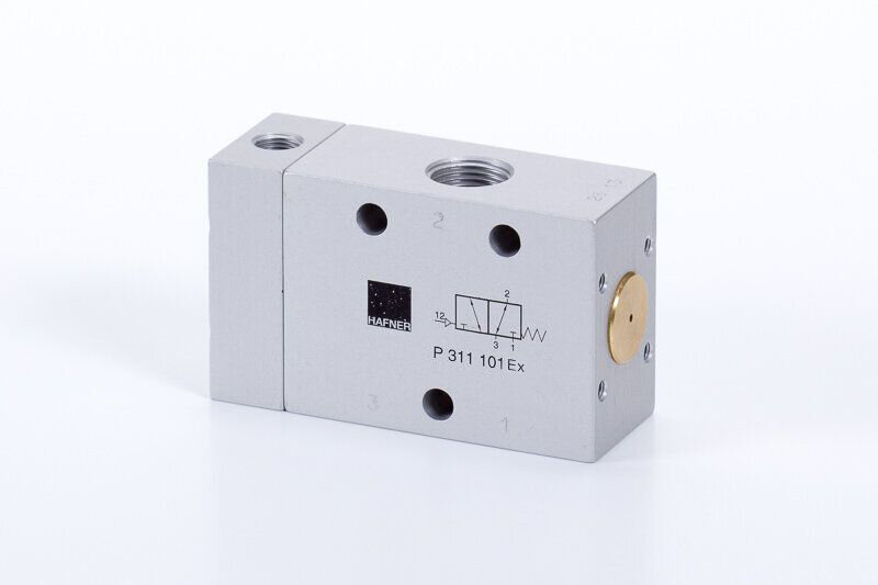 P 311 101 EX