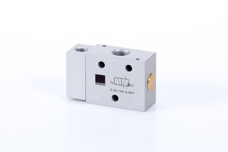 P 311 701 G NPT